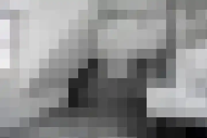 Schoorswinkel 8 Gemert thumbnail 41