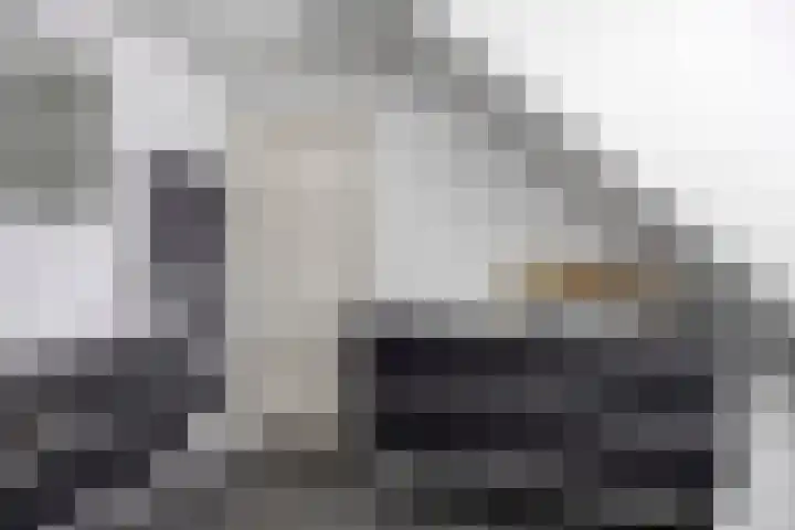 Schoorswinkel 8 Gemert thumbnail 42
