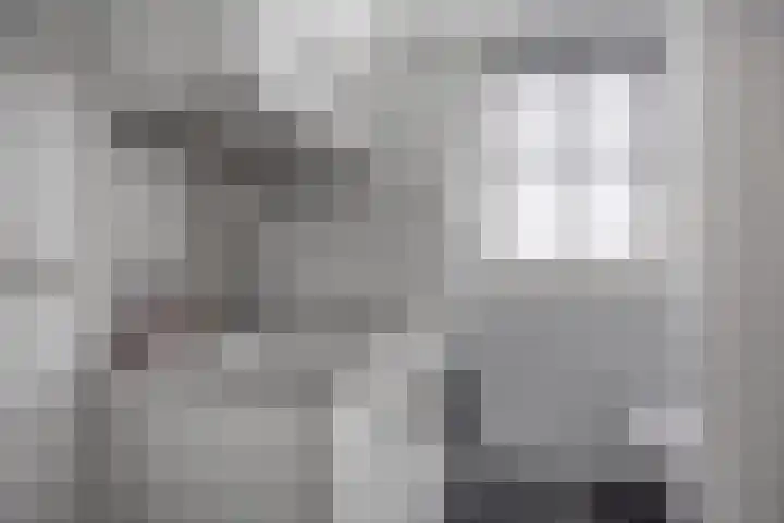 Schoorswinkel 8 Gemert thumbnail 45