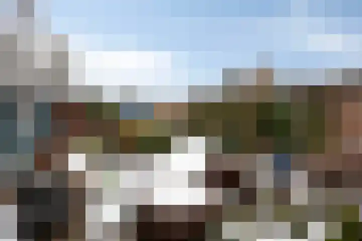 Schoorswinkel 8 Gemert thumbnail 48