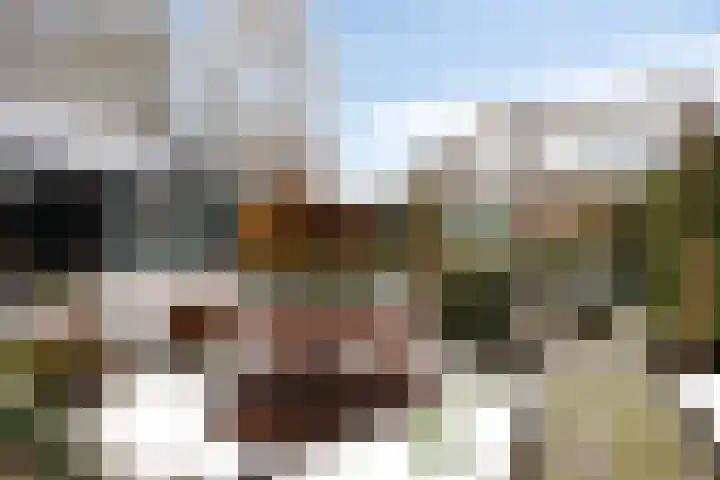 Schoorswinkel 8 Gemert thumbnail 49