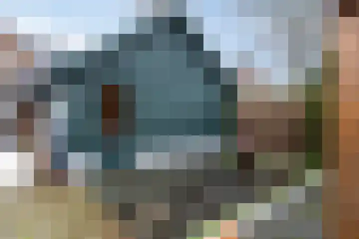 Schoorswinkel 8 Gemert thumbnail 51