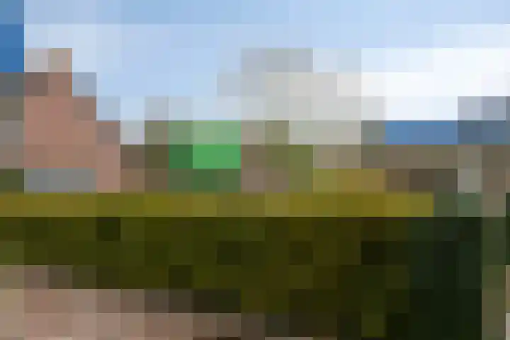 Schoorswinkel 8 Gemert thumbnail 53