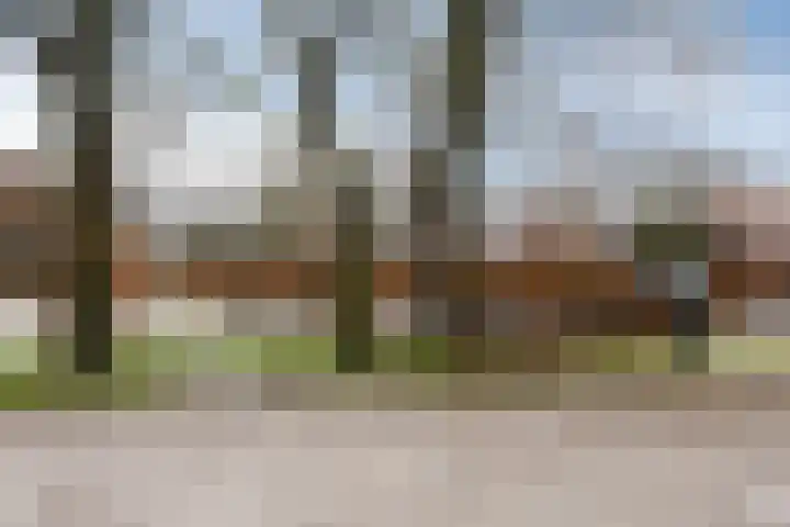 Schoorswinkel 8 Gemert thumbnail 54