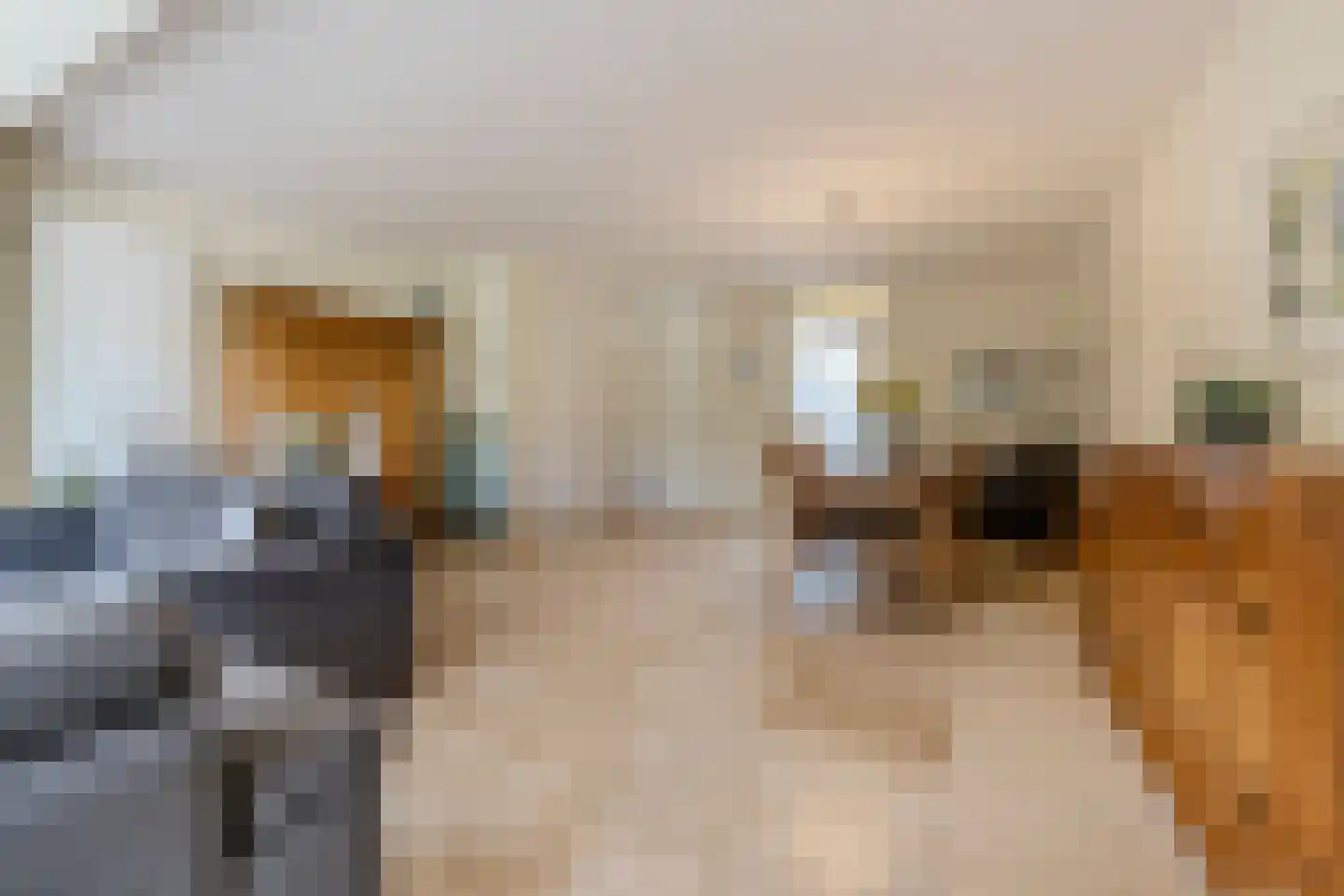 Schoorveken 124 Rijen thumbnail 18