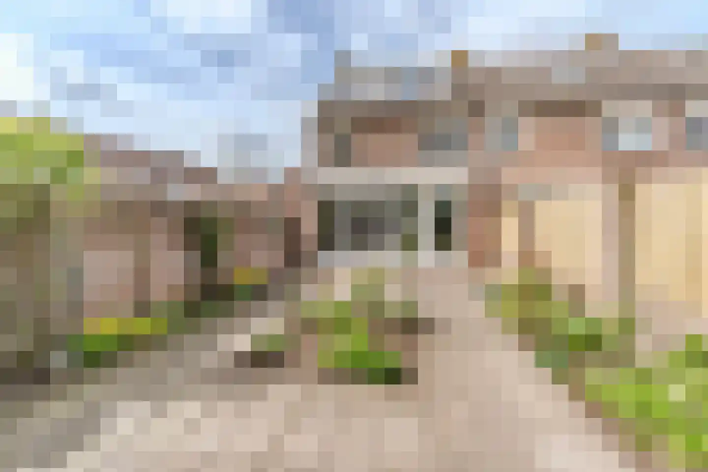 Schoorveken 124 Rijen thumbnail 22