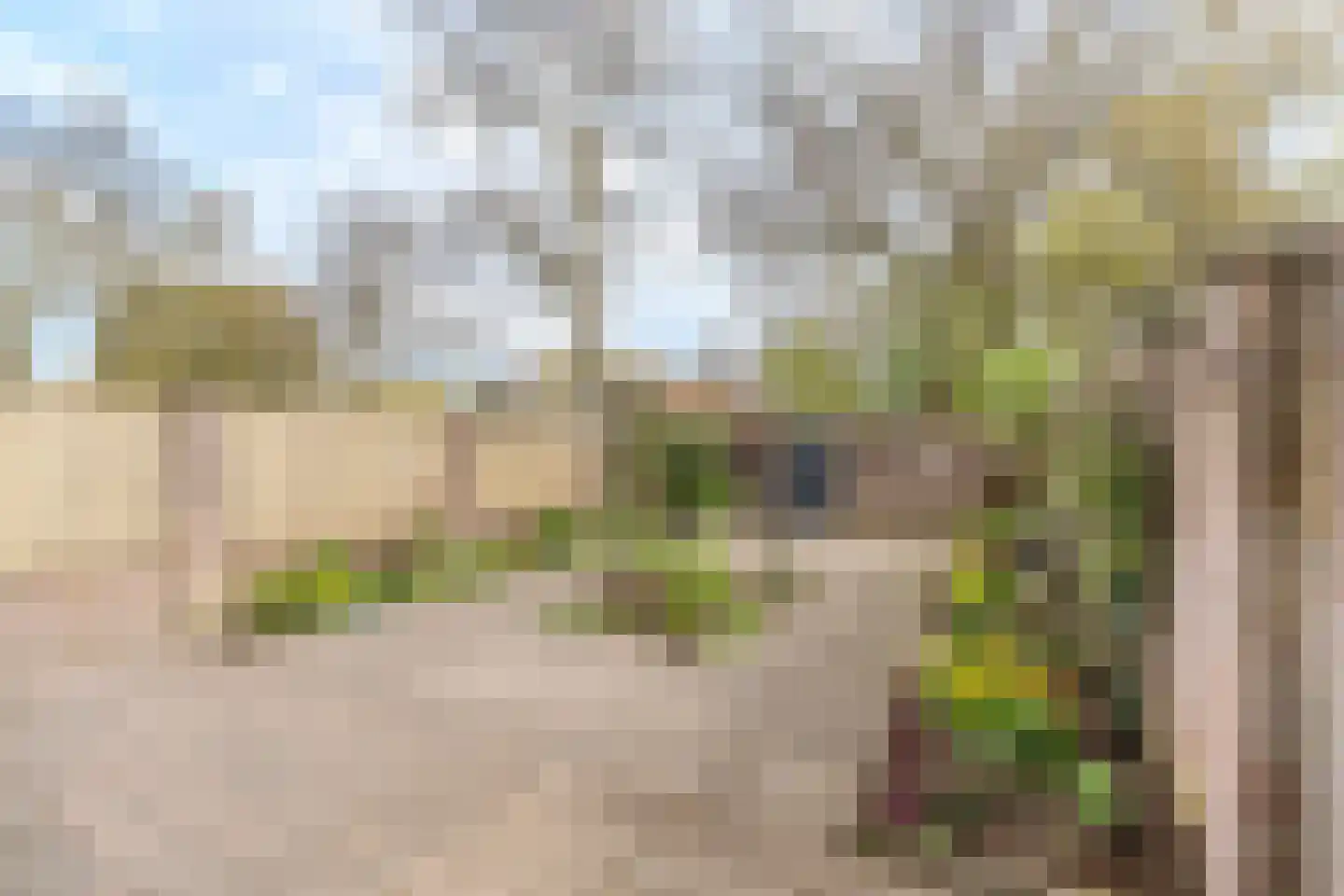 Schoorveken 124 Rijen thumbnail 26