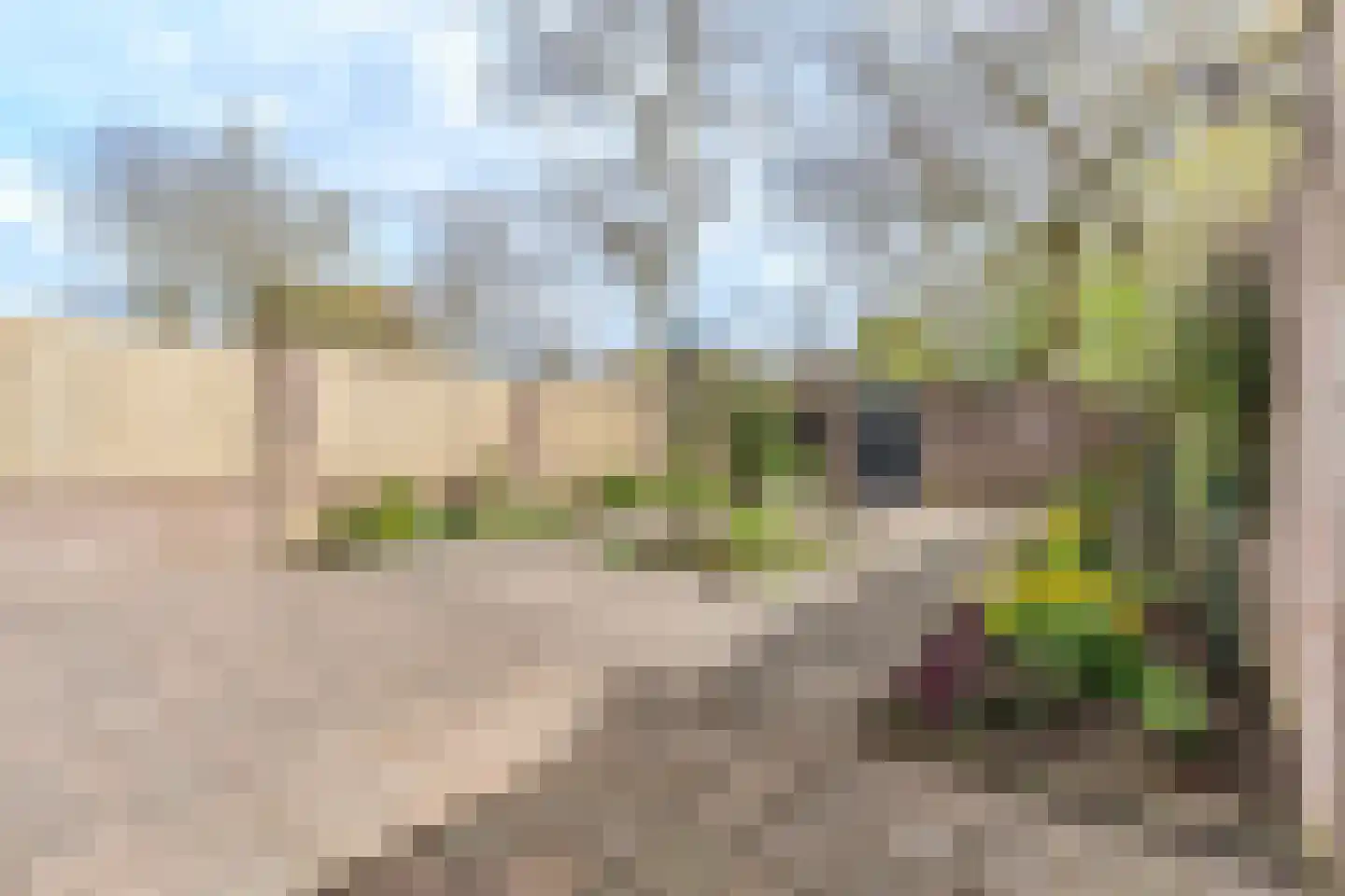 Schoorveken 124 Rijen thumbnail 27