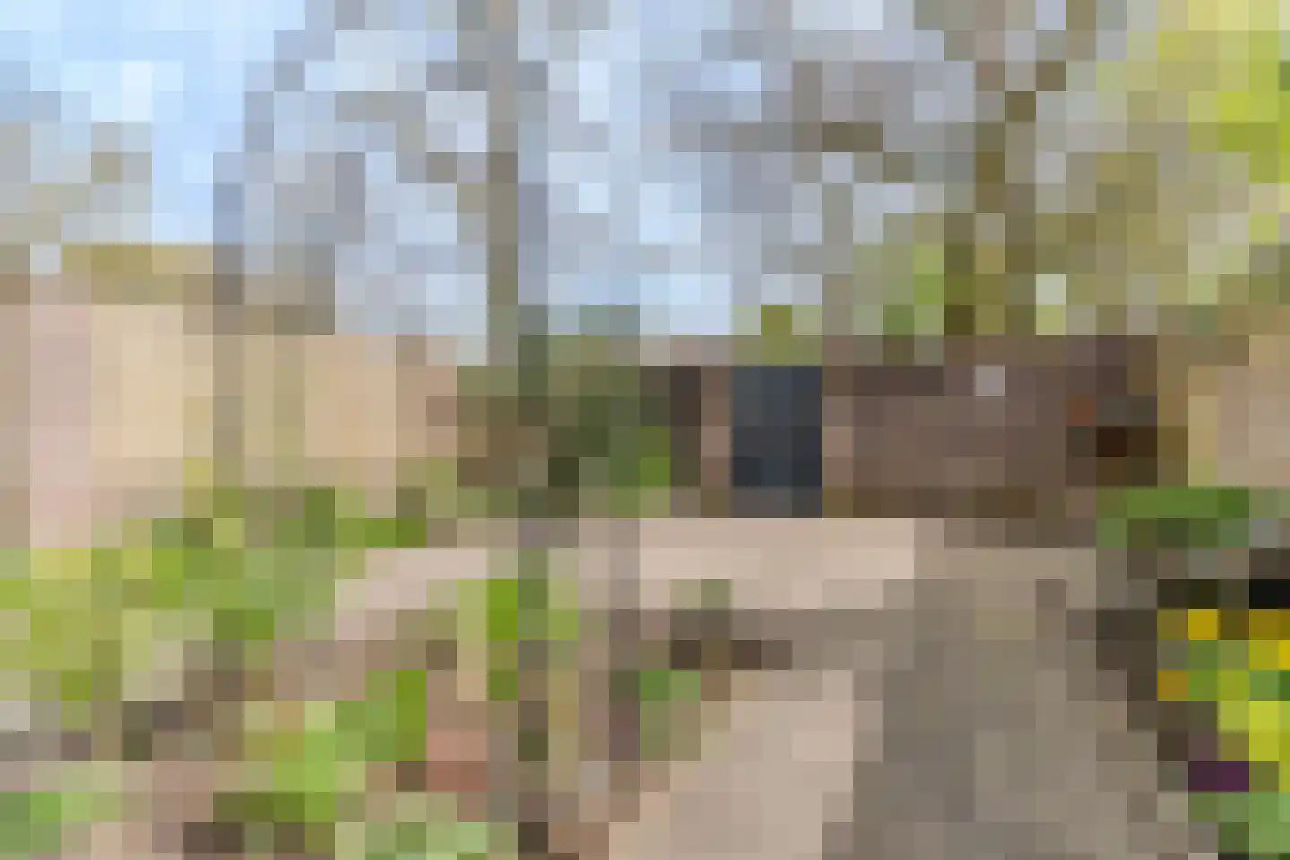 Schoorveken 124 Rijen thumbnail 28