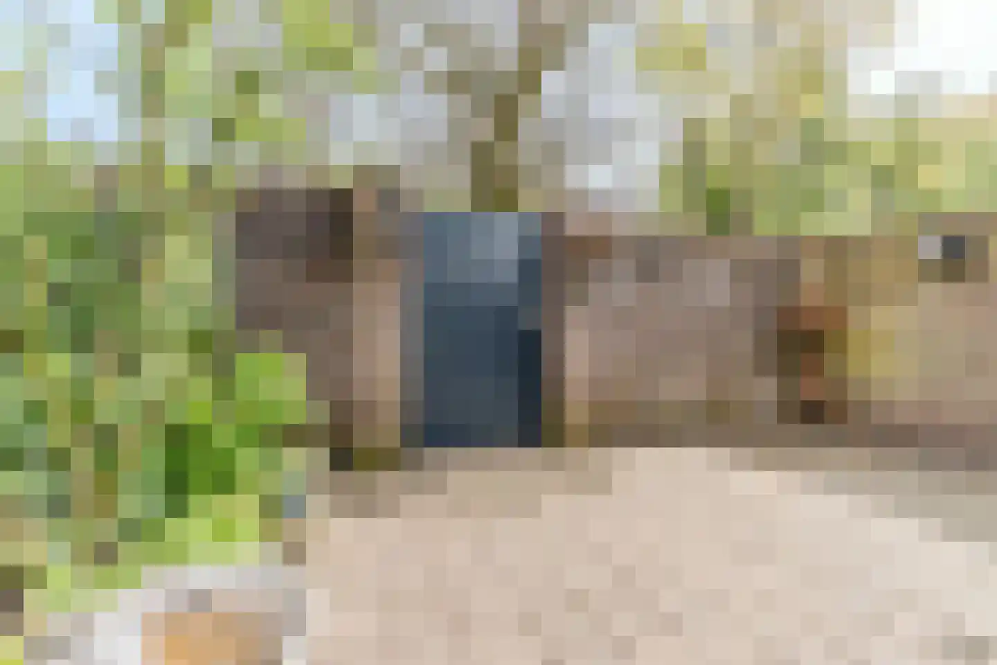 Schoorveken 124 Rijen thumbnail 29