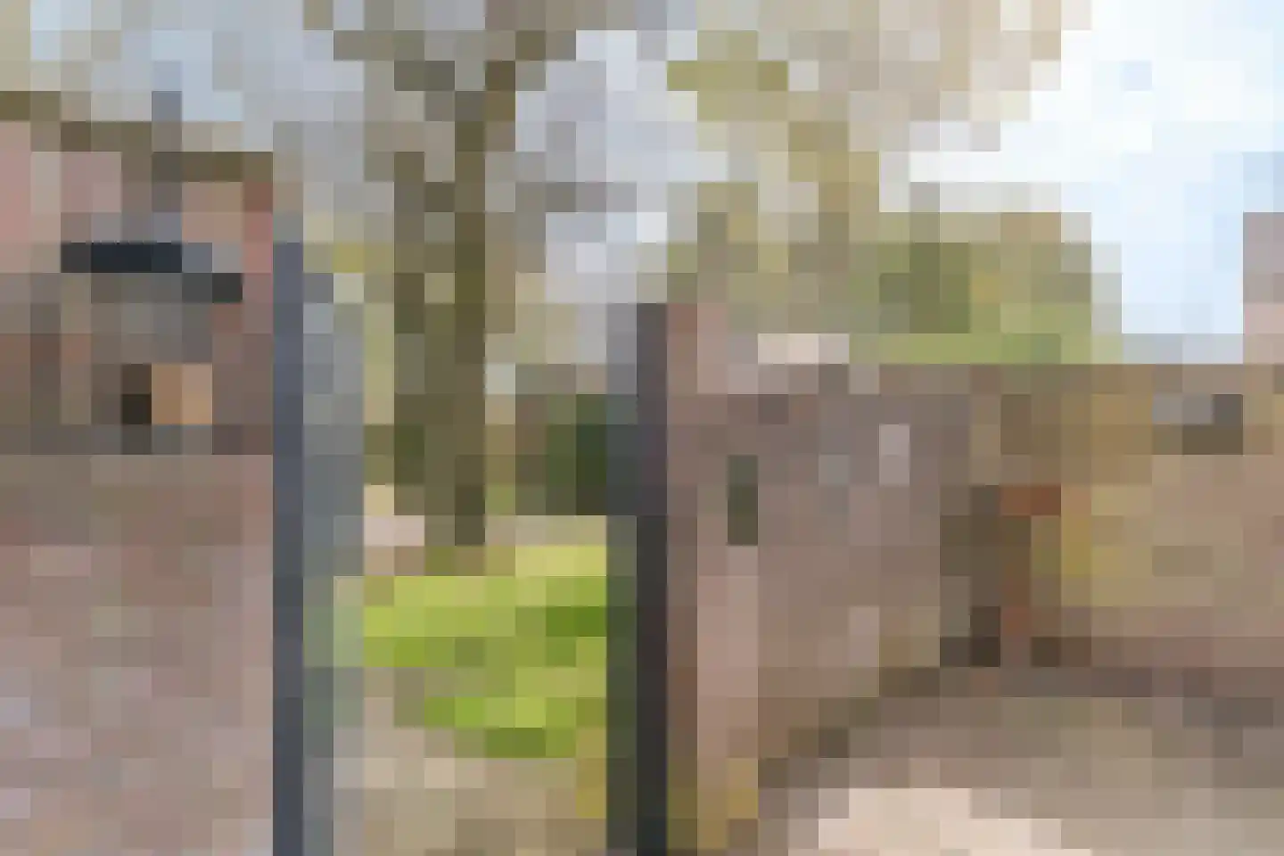 Schoorveken 124 Rijen thumbnail 30