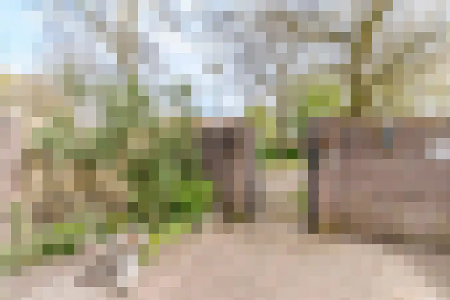 Schoorveken 124 Rijen thumbnail 31