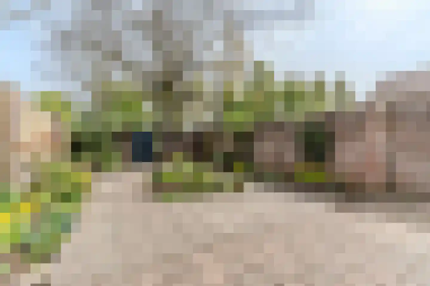 Schoorveken 124 Rijen thumbnail 4