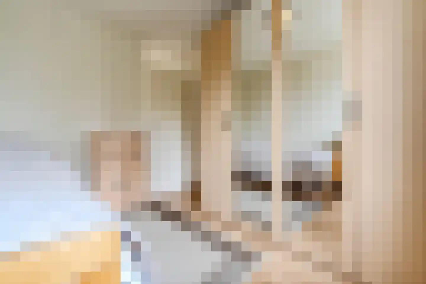 Schoorveken 124 Rijen thumbnail 40