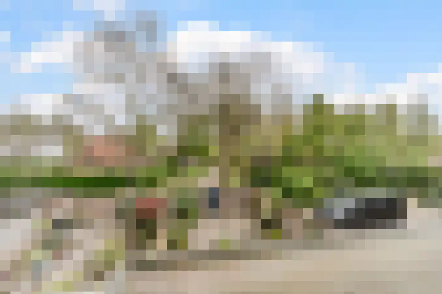 Schoorveken 124 Rijen thumbnail 50