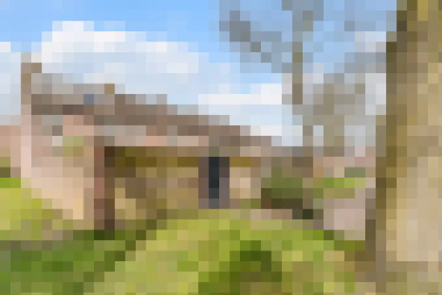 Schoorveken 124 Rijen thumbnail 57