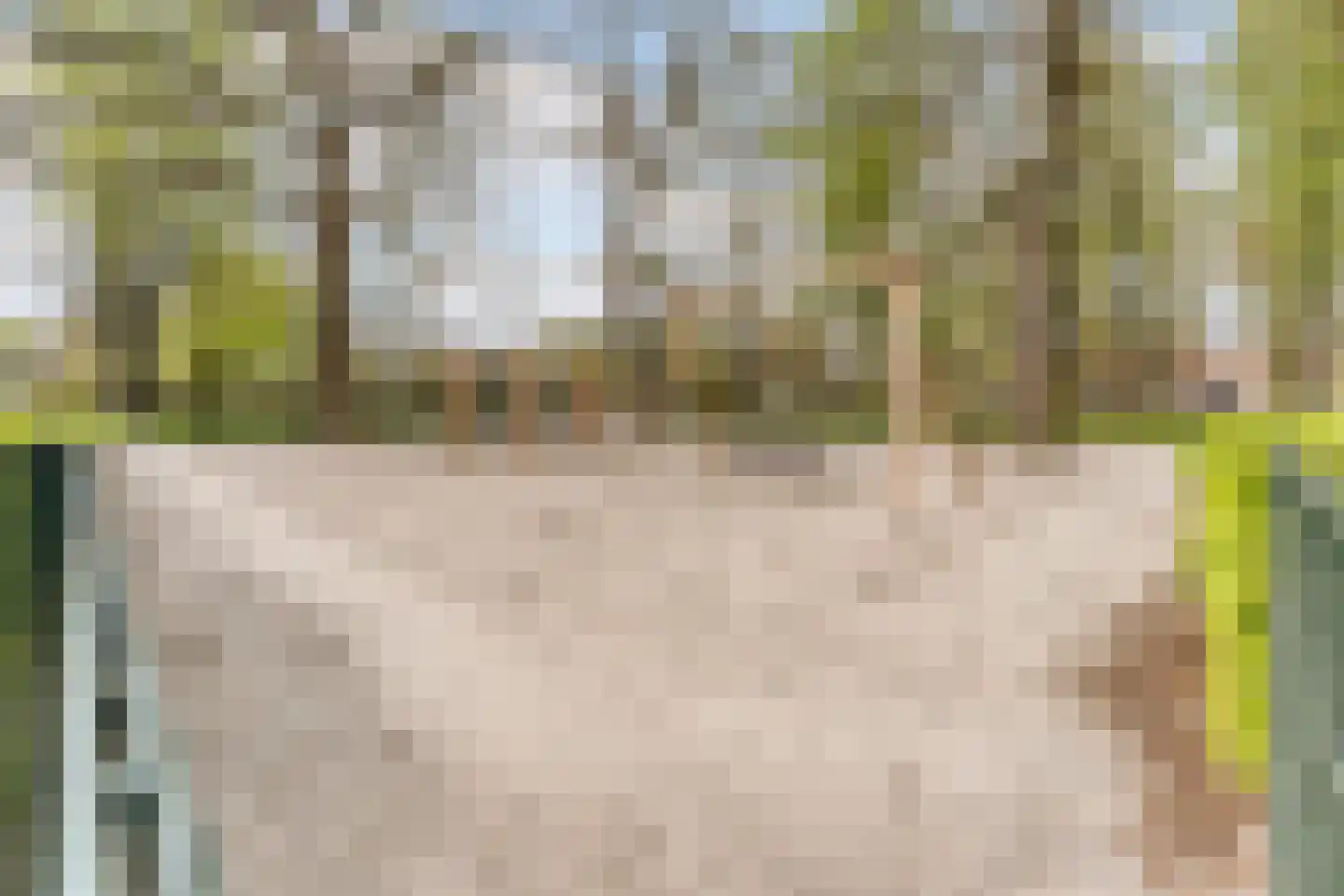 Schoorveken 124 Rijen thumbnail 59