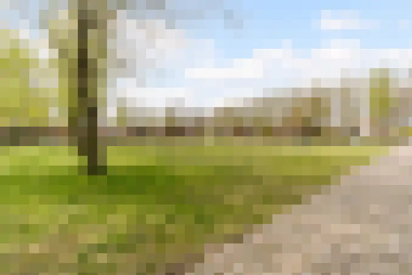 Schoorveken 124 Rijen thumbnail 60