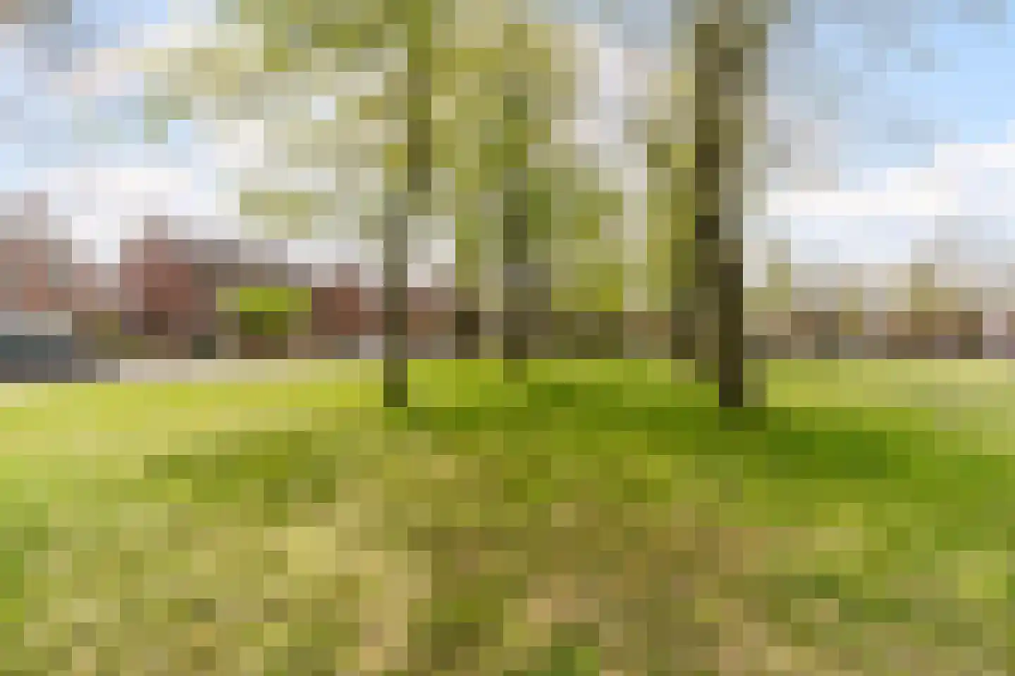 Schoorveken 124 Rijen thumbnail 61