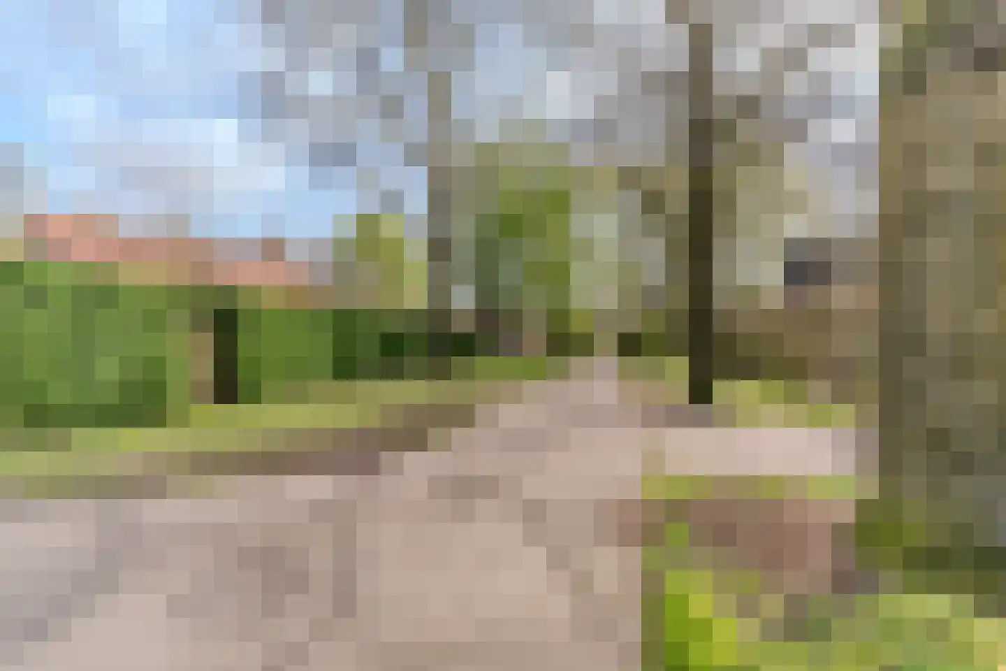 Schoorveken 124 Rijen thumbnail 62