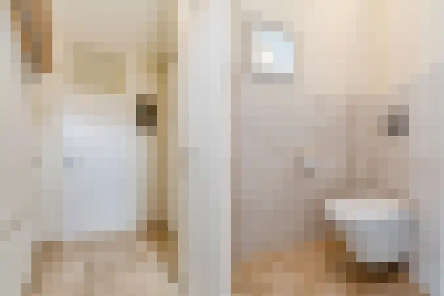 Schoorveken 124 Rijen thumbnail 7