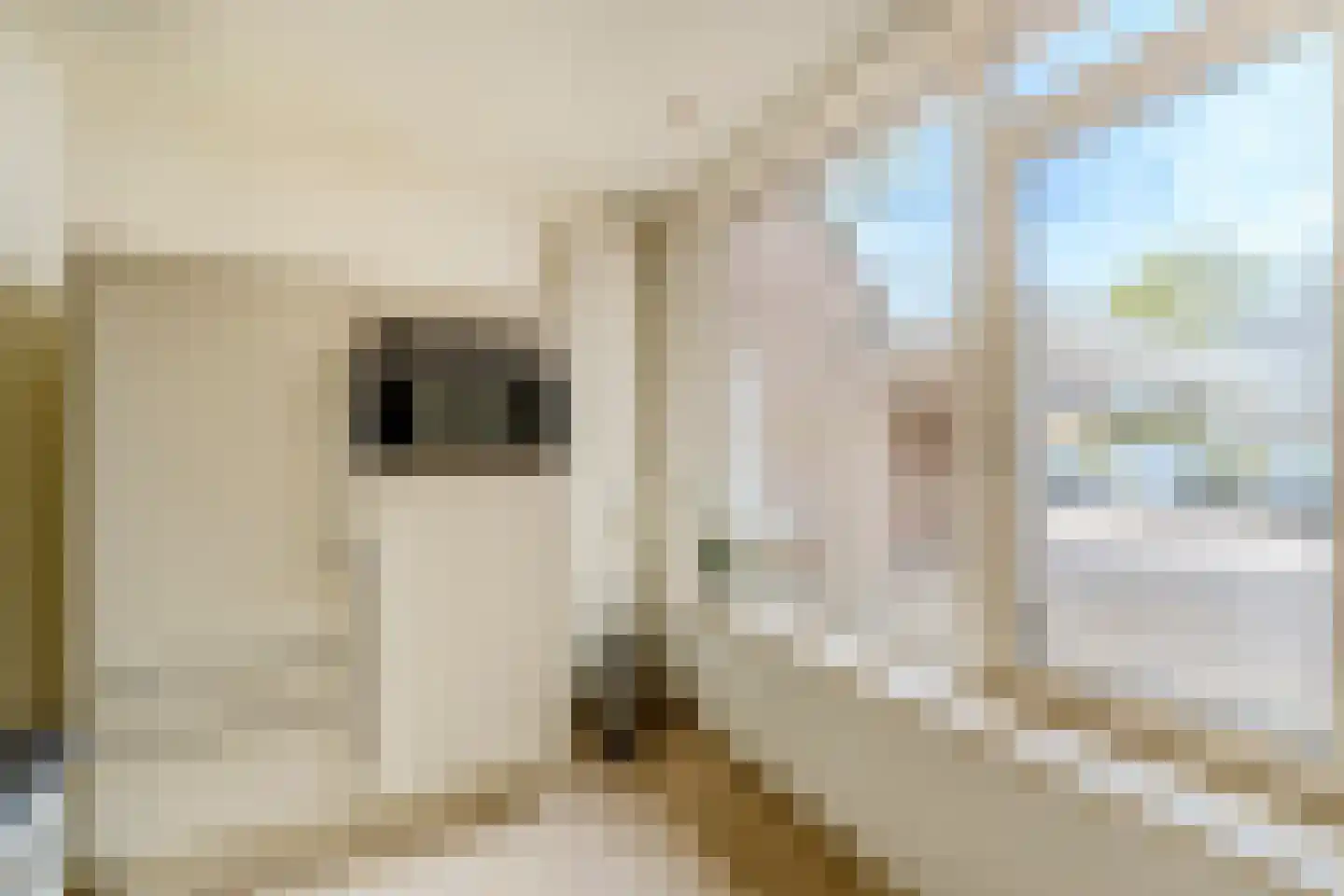 Schoorveken 124 Rijen thumbnail 9