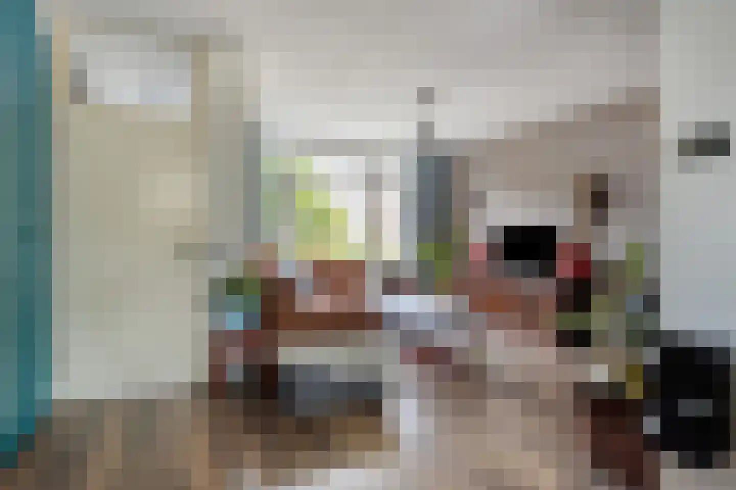 Schoorveken 132 Rijen thumbnail 11