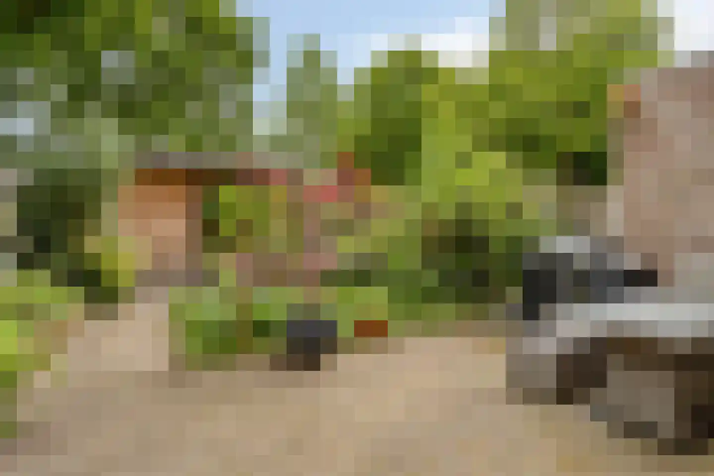 Schoorveken 132 Rijen thumbnail 34