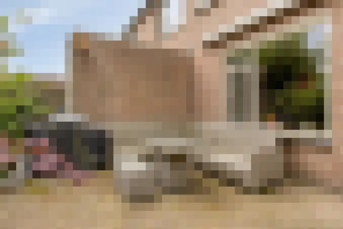 Schoorveken 132 Rijen thumbnail 35