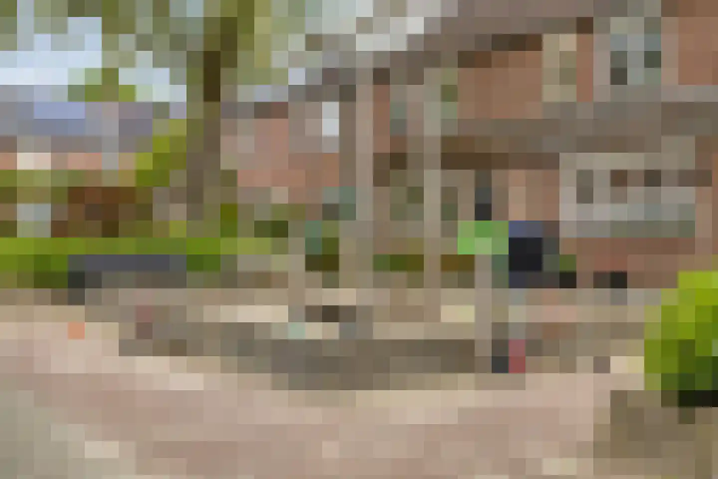 Schoorveken 132 Rijen thumbnail 39
