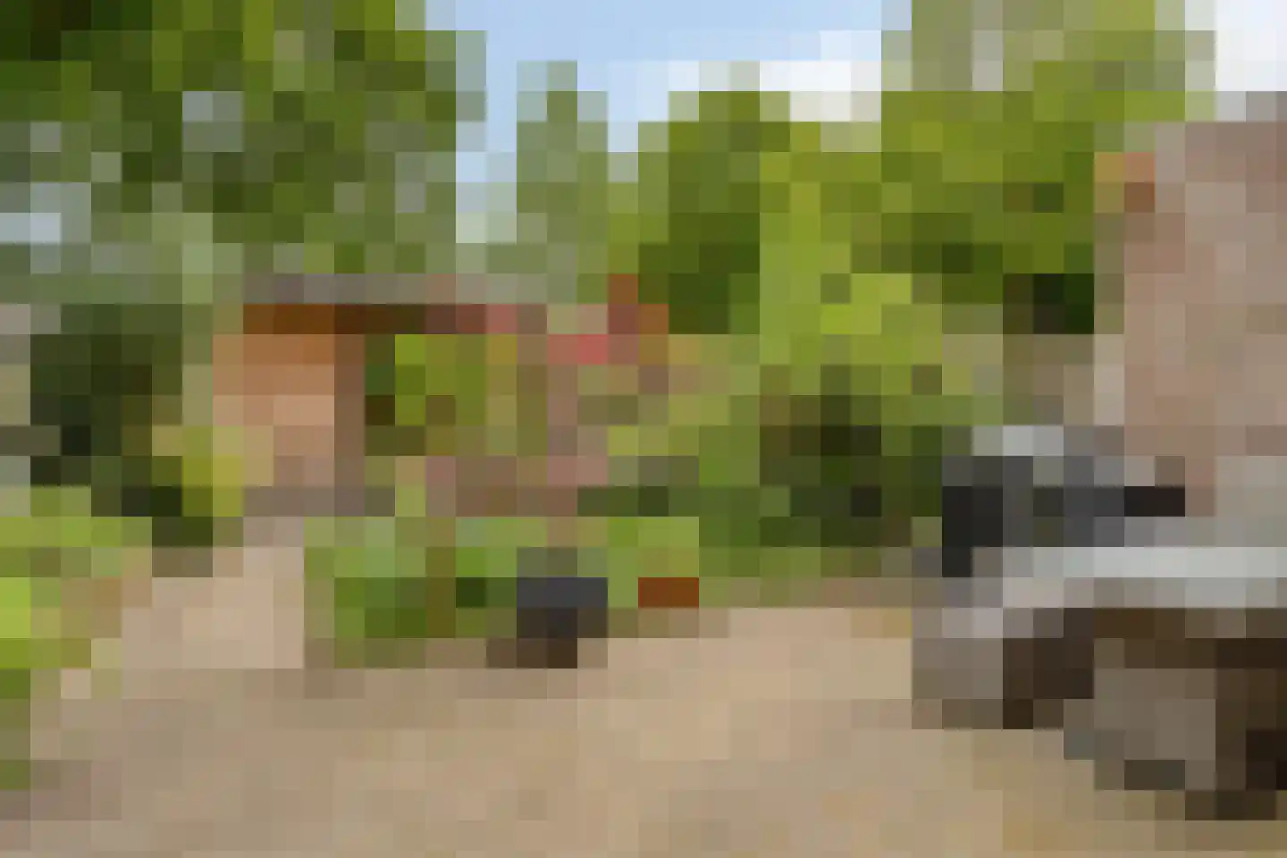 Schoorveken 132 Rijen thumbnail 4