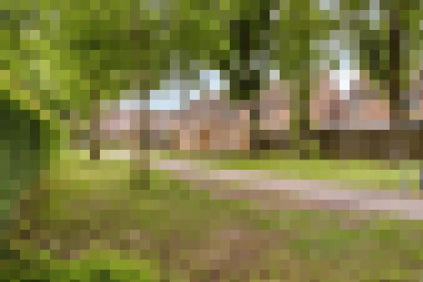 Schoorveken 132 Rijen thumbnail 40