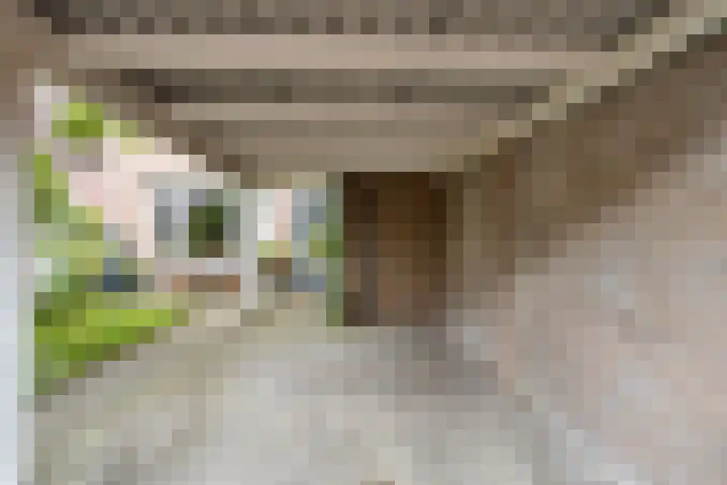 Schoorveken 132 Rijen thumbnail 7