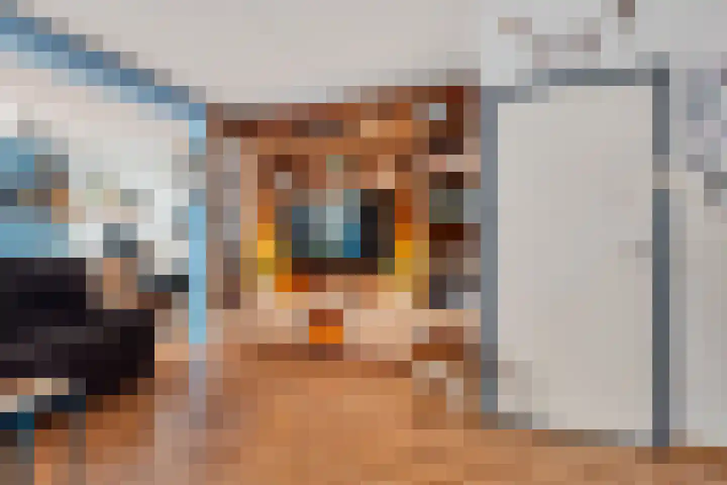 Schoorveken 41 Rijen thumbnail 13