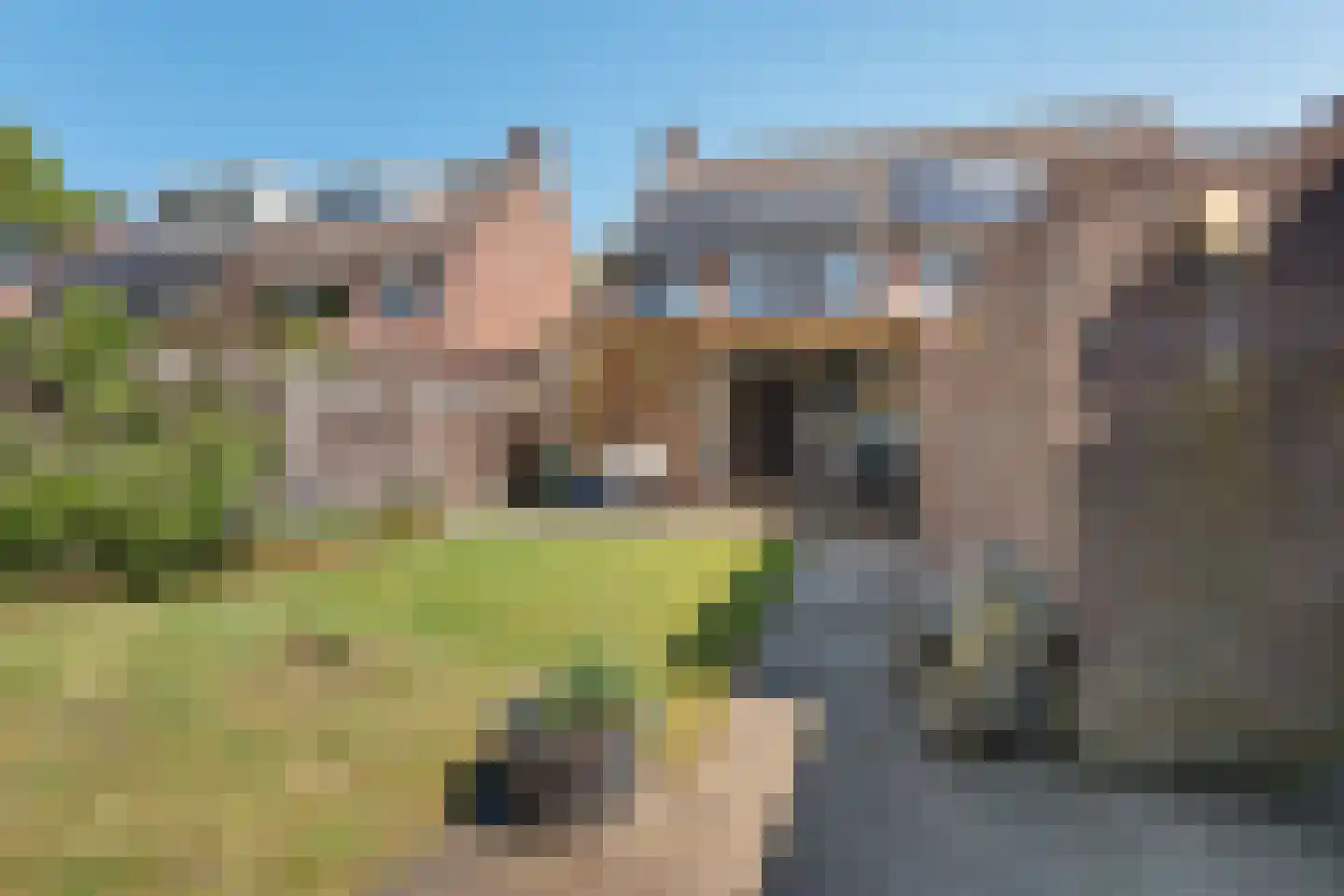 Schoorveken 41 Rijen thumbnail 23
