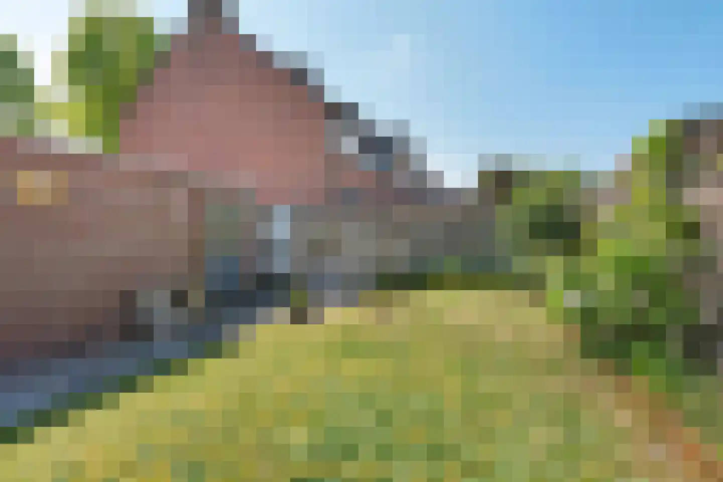 Schoorveken 41 Rijen thumbnail 24