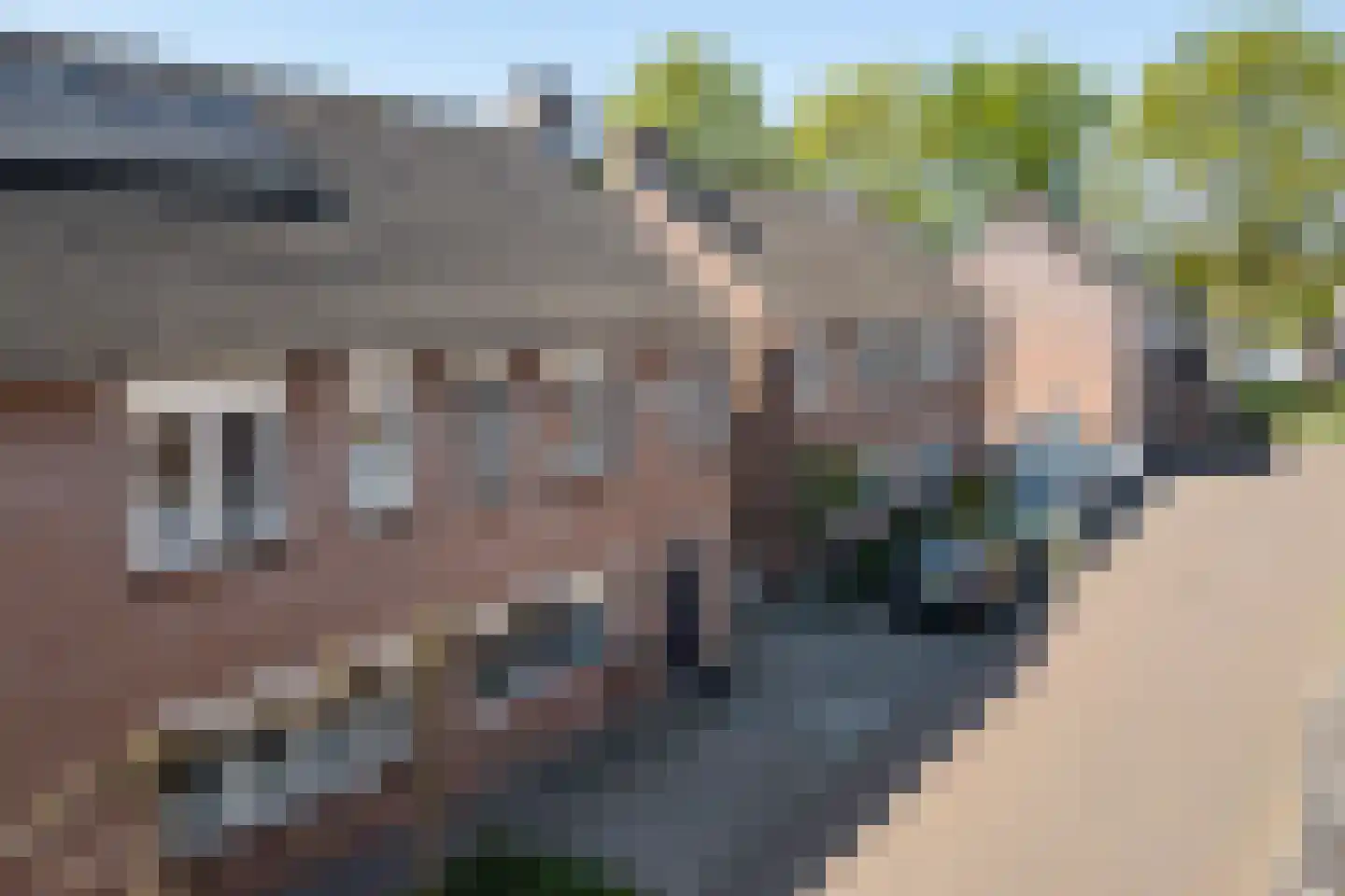 Schoorveken 41 Rijen thumbnail 26