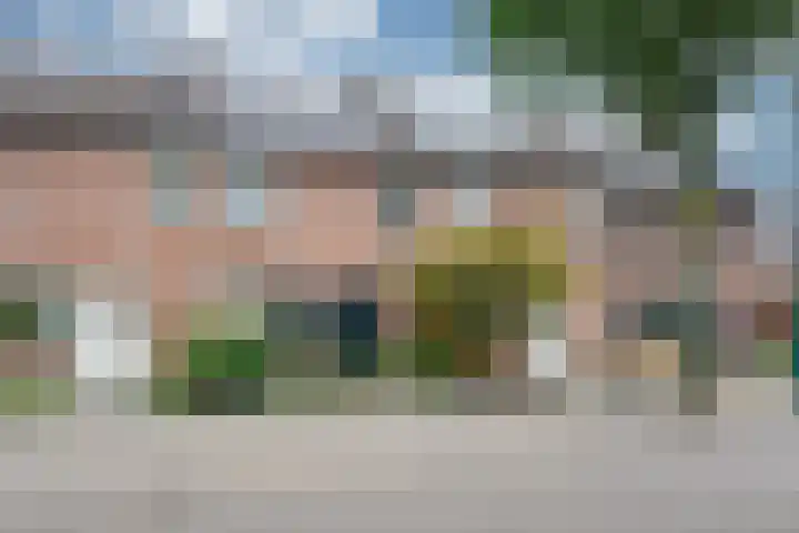 Schoorveken 5 Rijen