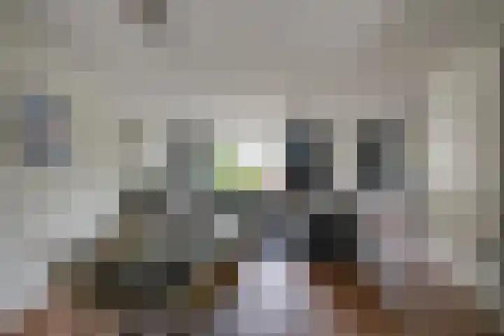 Schoorveken 5 Rijen thumbnail 11