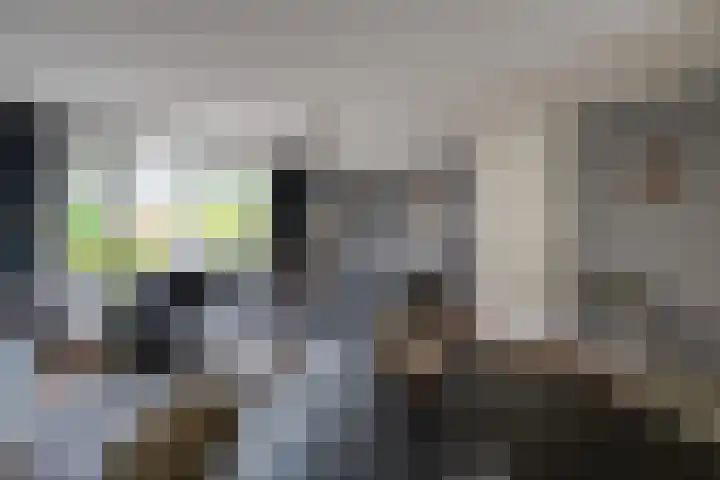 Schoorveken 5 Rijen thumbnail 12