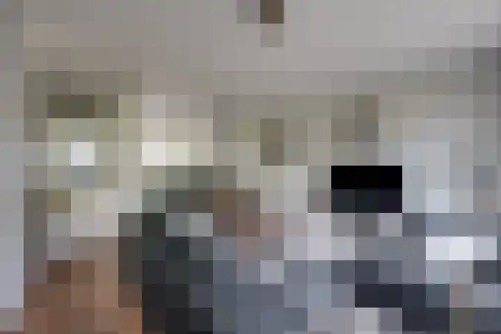 Schoorveken 5 Rijen thumbnail 17