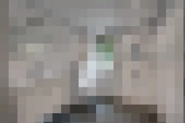 Schoorveken 5 Rijen foto 2