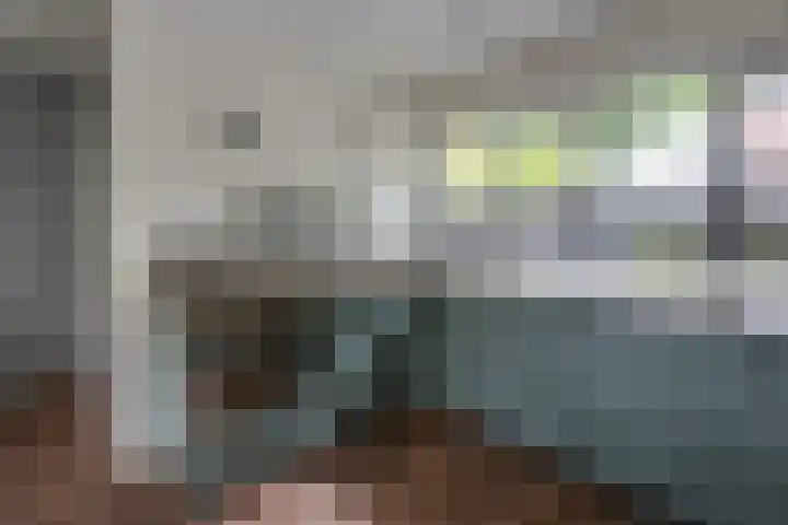 Schoorveken 5 Rijen thumbnail 20