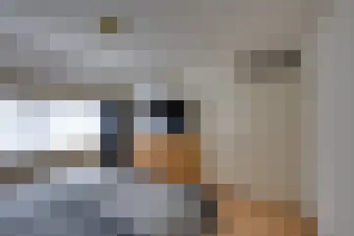 Schoorveken 5 Rijen thumbnail 24