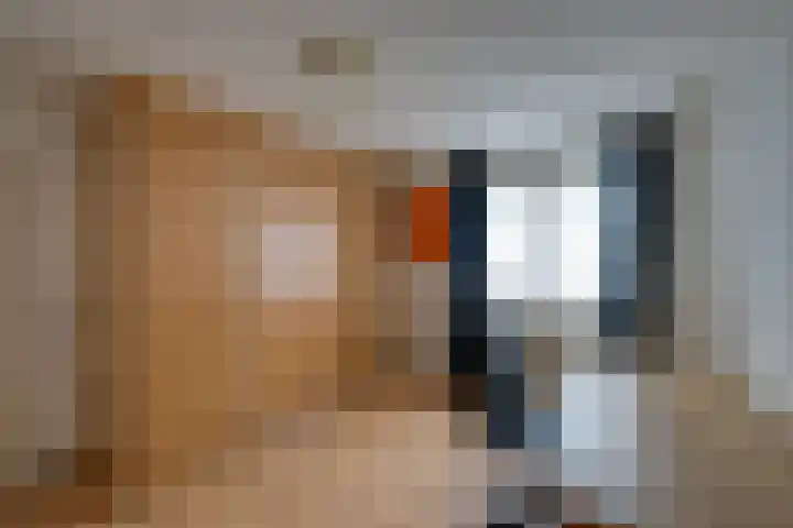 Schoorveken 5 Rijen thumbnail 27
