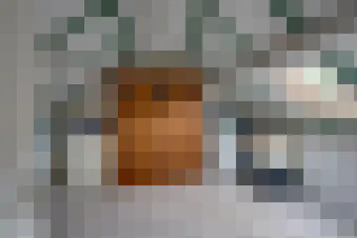 Schoorveken 5 Rijen thumbnail 35