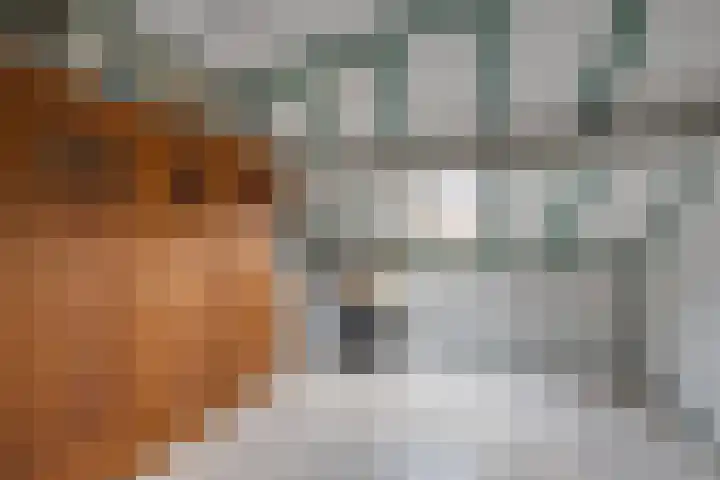 Schoorveken 5 Rijen thumbnail 36