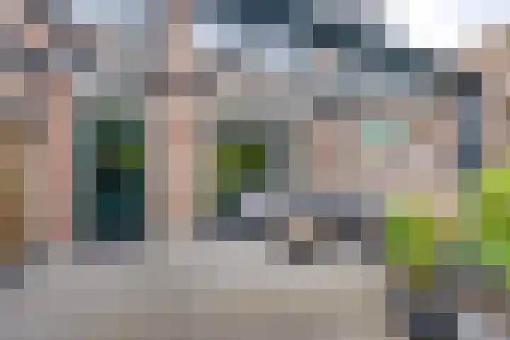 Schoorveken 5 Rijen thumbnail 38