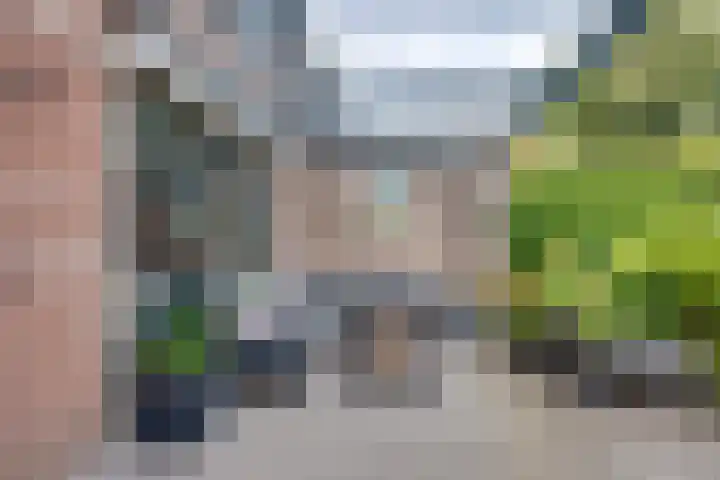Schoorveken 5 Rijen thumbnail 39