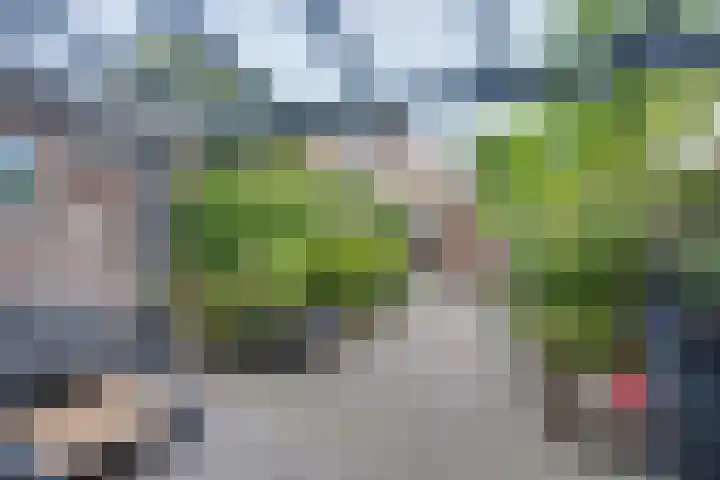 Schoorveken 5 Rijen thumbnail 40